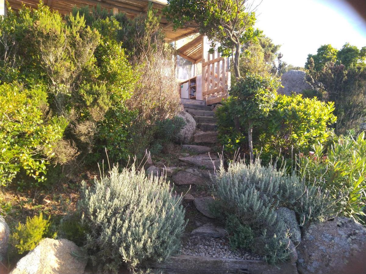 La Cera Farm Camping B&B Santa Teresa Gallura Buitenkant foto