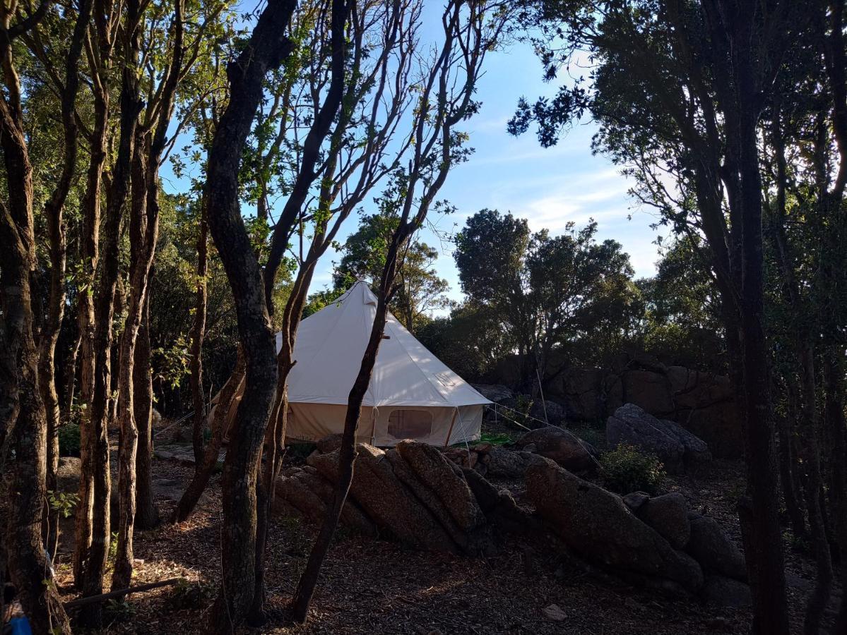 La Cera Farm Camping B&B Santa Teresa Gallura Buitenkant foto