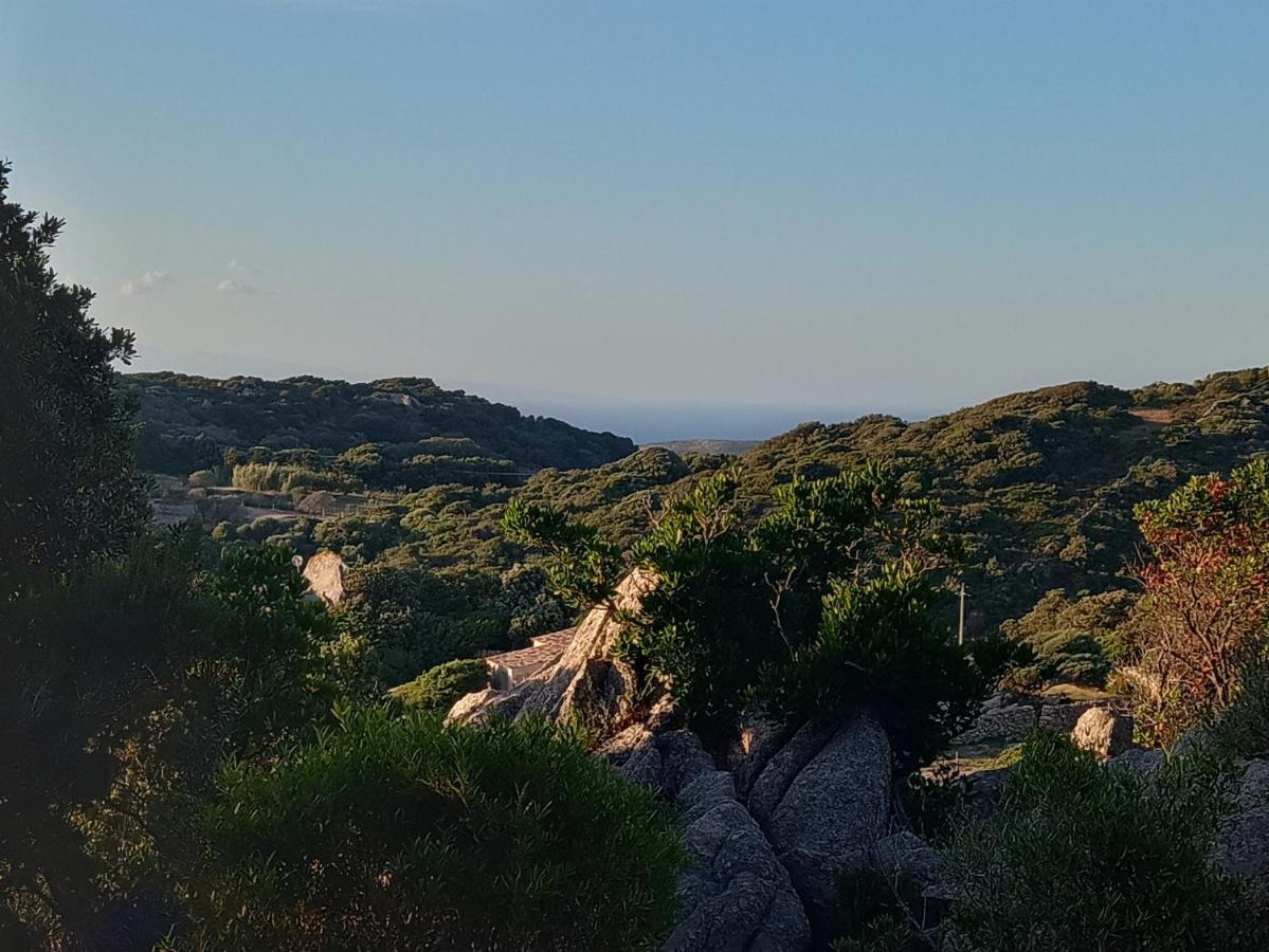 La Cera Farm Camping B&B Santa Teresa Gallura Buitenkant foto