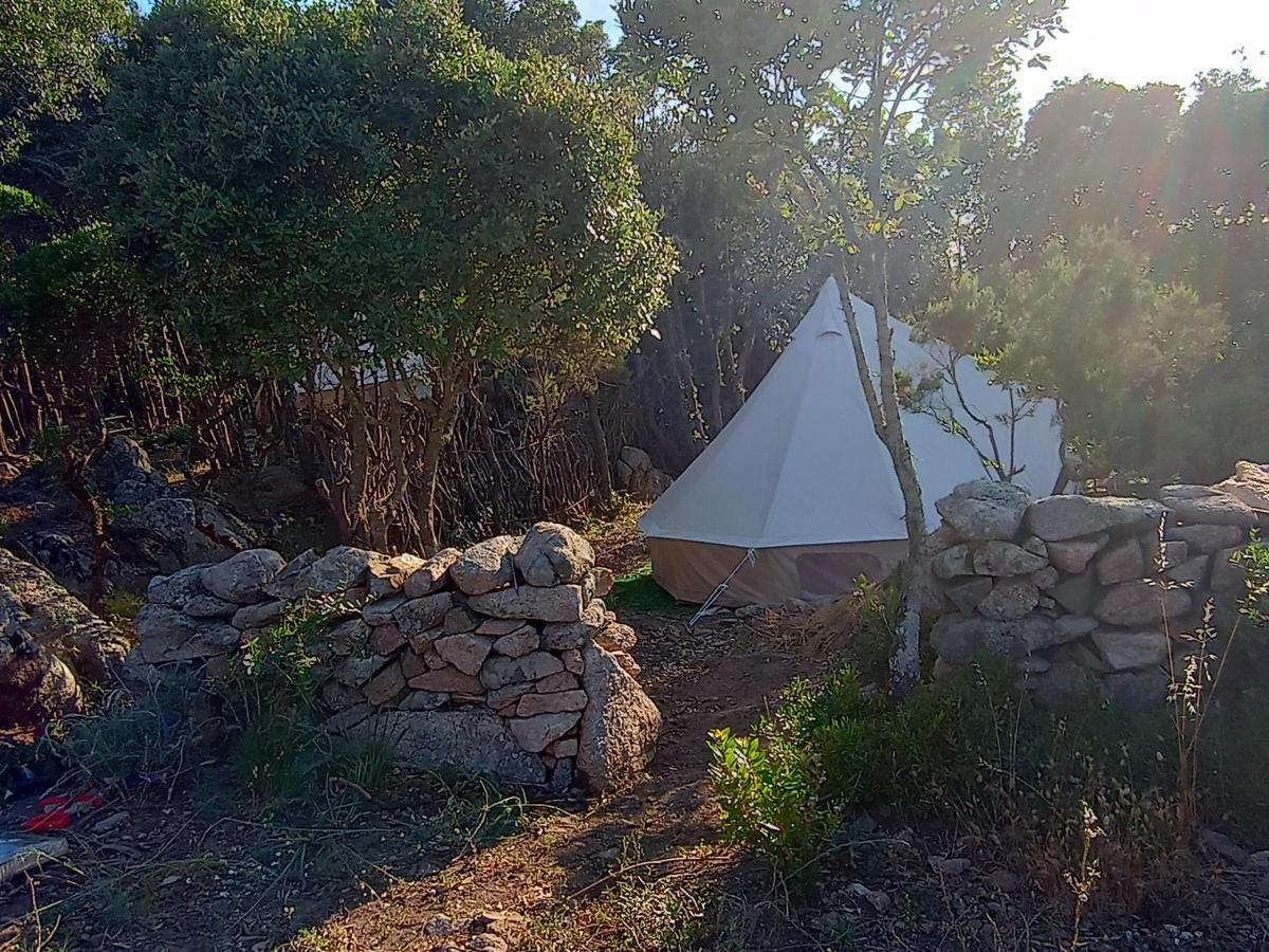 La Cera Farm Camping B&B Santa Teresa Gallura Buitenkant foto