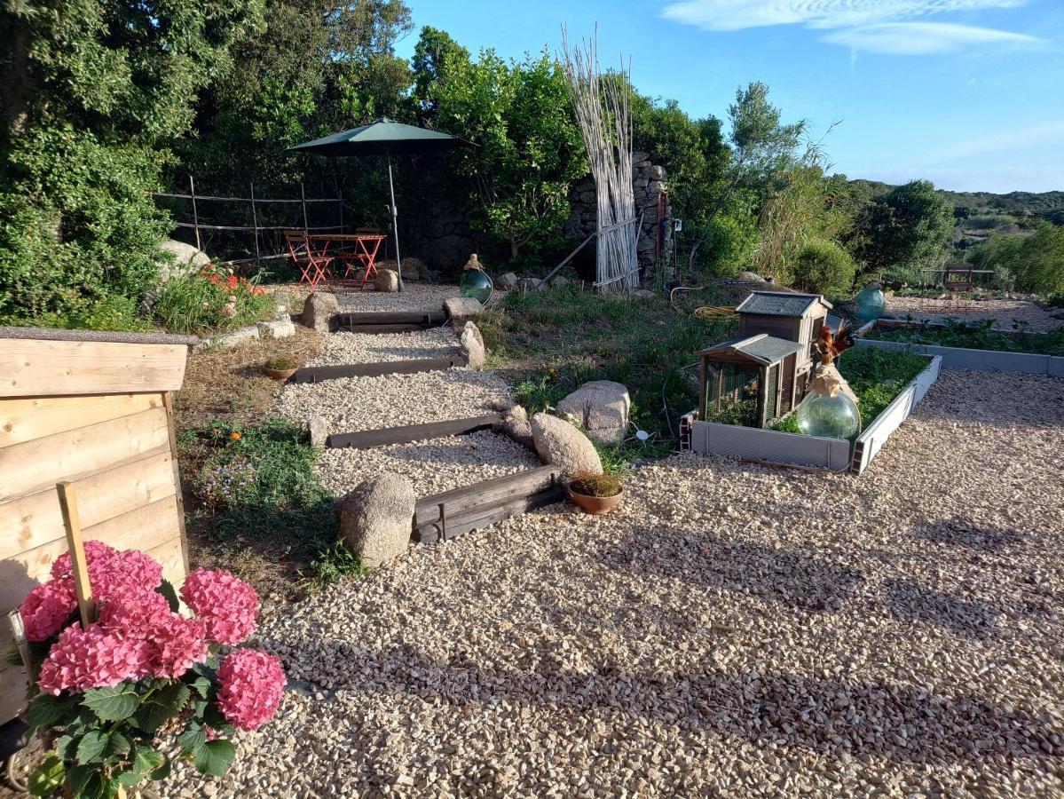 La Cera Farm Camping B&B Santa Teresa Gallura Buitenkant foto