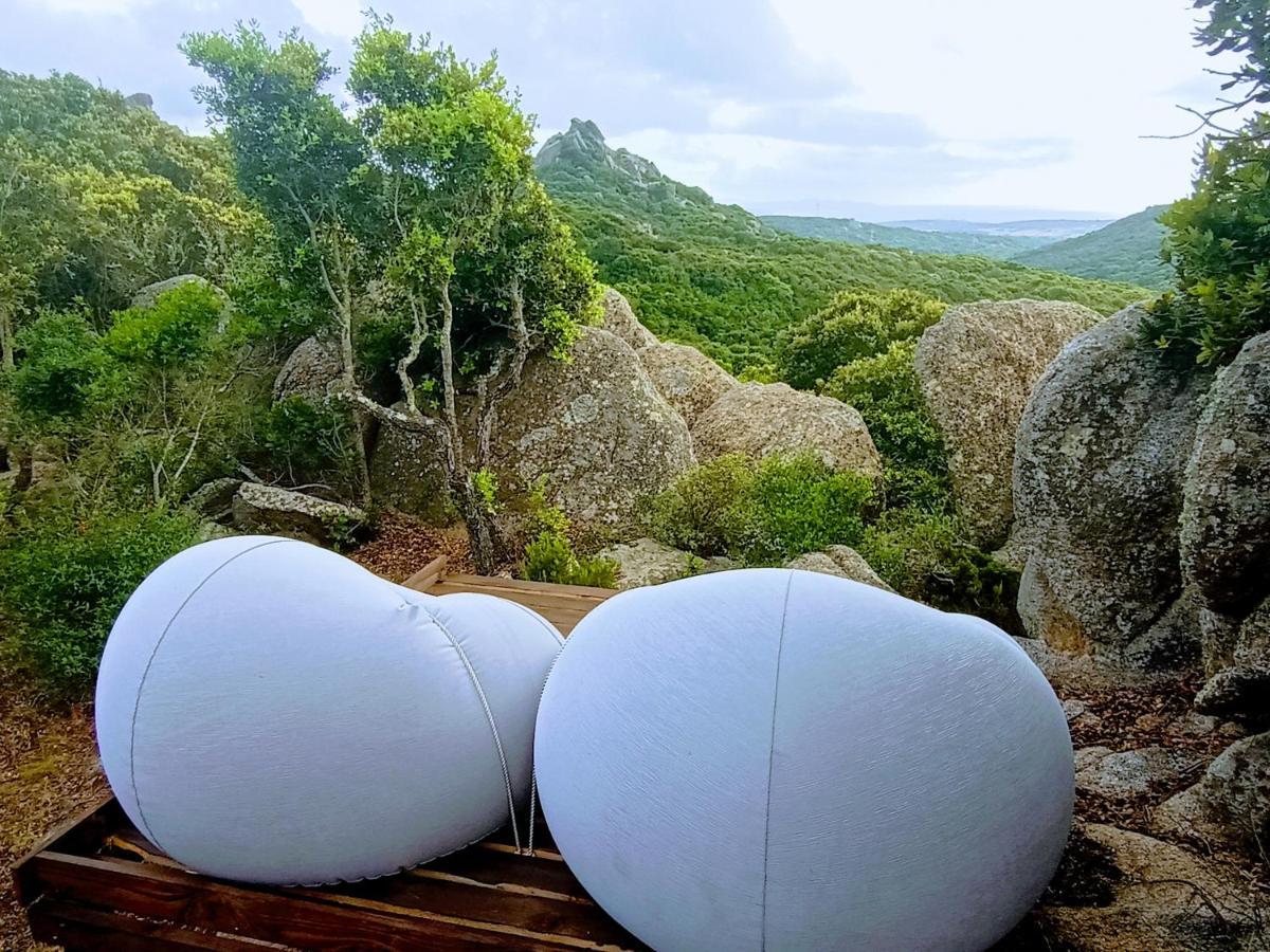 La Cera Farm Camping B&B Santa Teresa Gallura Buitenkant foto