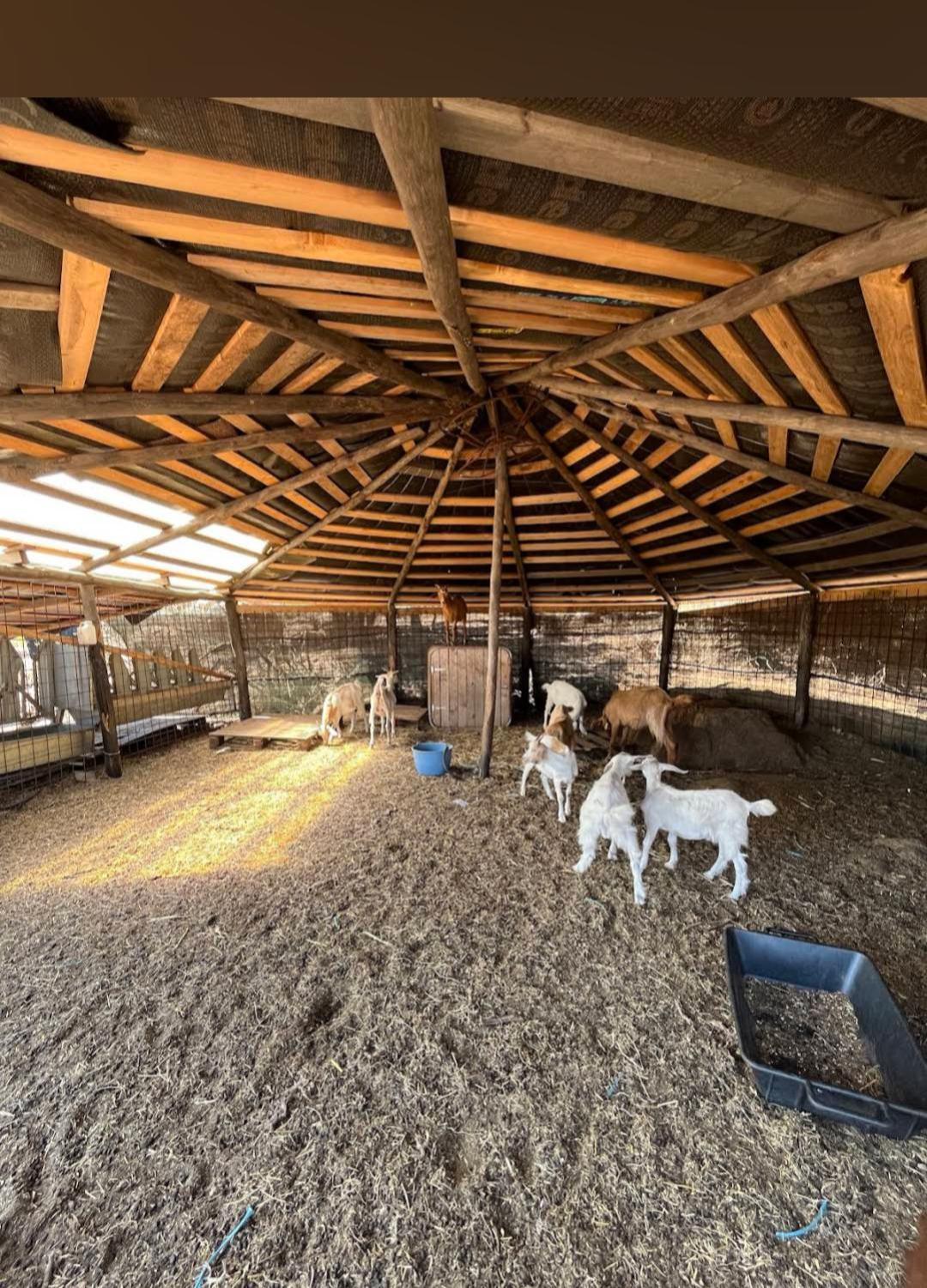 La Cera Farm Camping B&B Santa Teresa Gallura Buitenkant foto